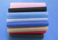 丛台涤纶（PET）无纺布是什么